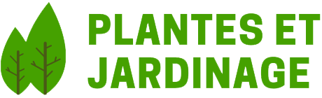 Logo-Plantes-et-jardinage-Blog