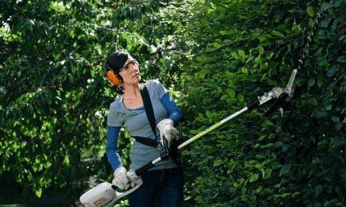 Taille-haie thermique Stihl HL 95 K test complet