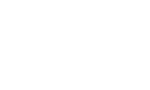 Logo Bosch White