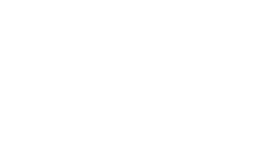 Logo Stihl White