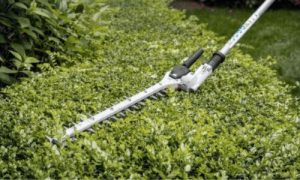Taille-haie thermique Stihl HL 95 K test