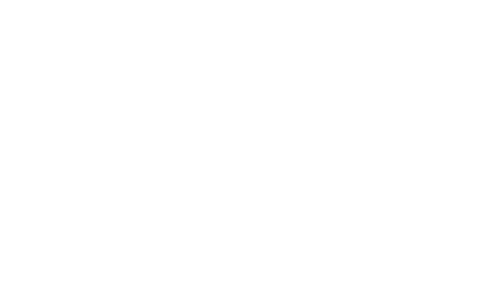 logo Staub