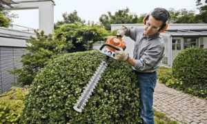 Taille-haie thermique Stihl HS 46 test