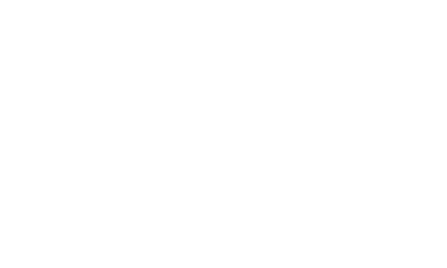 logo Toro