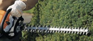 Comparatif taille-haies thermiques Stihl