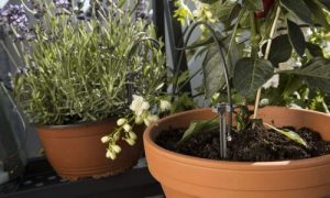 Gardena Urban Vacation Waterer Kit d'arrosage jusqu'à 36 plantes